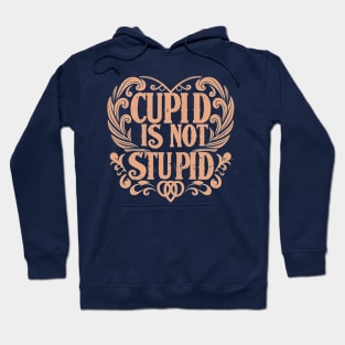 Cupid Is Not Stupid Hoodie